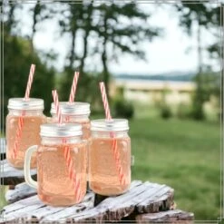 OTIX Mason Jar Drinkbeker Met Rietje Set Van 4 Zilvere Dop 450 Ml -Bestekwinkel ad83d2552e624951974e40f014e1a716